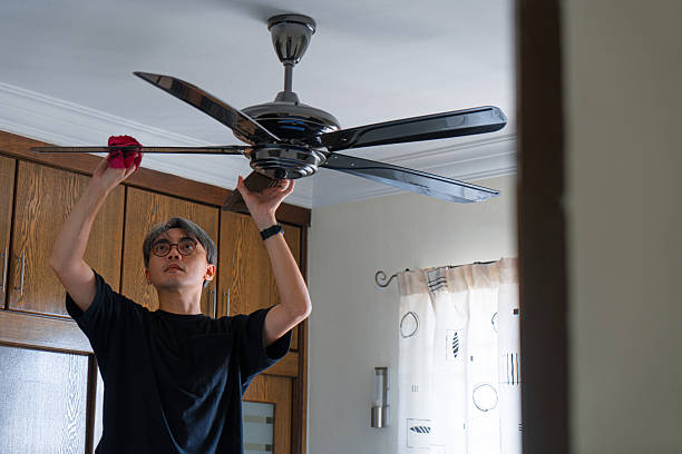 Clean ceiling fan hack